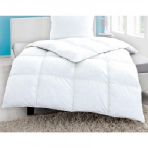 Kassettenbett 39.99 €