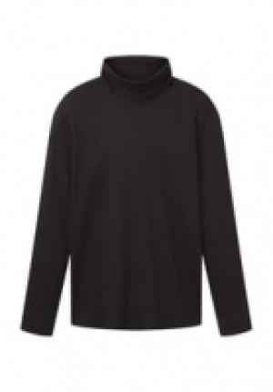 TOM TAILOR Pullover, Rollkragen, für Herren