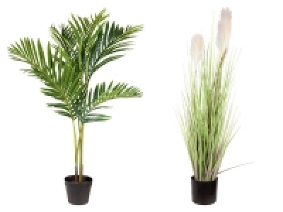 LIVARNO home Kunstpflanze, für den Innenraum 30.99 €