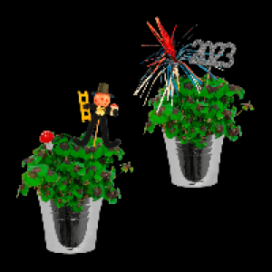 GARDENLINE Gl&uuml;cksklee 1.99&nbsp;&euro;