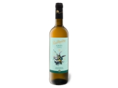 Paco Mulero Albariño Rías Baixas DO, Weißwein 2020 6.99 €