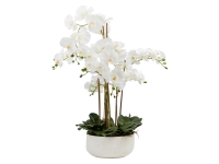 Lidl Pureday Pureday Kunstpflanze »Orchideentopf«, mit prächtigen Blüten