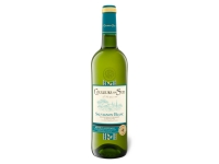 Lidl  Couleurs du Sud Sauvignon Blanc Pays dOc IGP trocken, Weißwein 2020