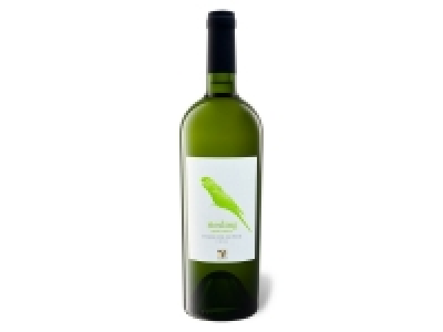 VIAJERO Riesling Valle de Leyda trocken, Weißwein 2019