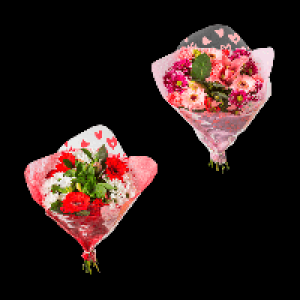 GARDENLINE Valentinsstrau&szlig; 7.99&nbsp;&euro;