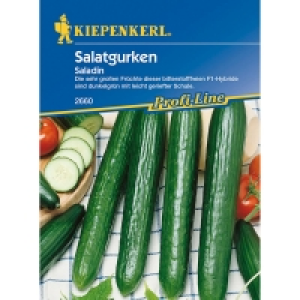 OBI  Kiepenkerl Salatgurke Saladin