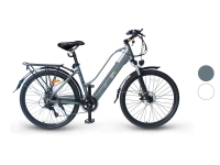 Lidl Electric Moving Green Electric Moving Green E-Bike Cityrad »Queen«, 28 Zoll