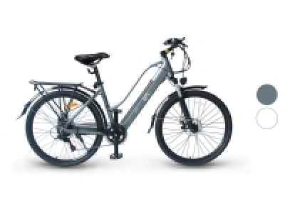 Electric Moving Green E-Bike Cityrad »Queen«, 28 Zoll