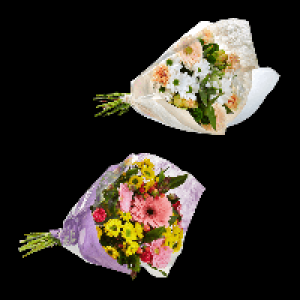 Aldi Nord Gardenline GARDENLINE Dekostrauß zum Weltfrauentag