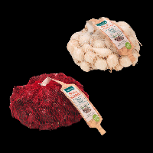 GARDENLINE Steckzwiebeln 0.99 €