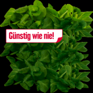 Edeka  Feldsalat