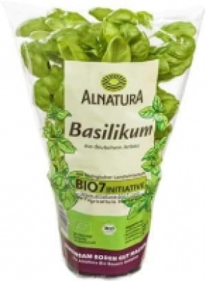 Alnatura Alnatura Basilikum im Topf