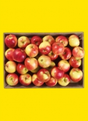 Äp­fel aus Ba­den-Würt­tem­berg 2.79 €