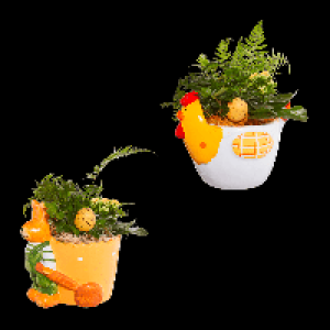 Aldi Nord Gardenline GARDENLINE Bepflanztes Ostergefäß