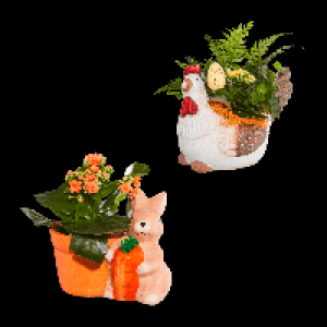 GARDENLINE Bepflanzte Osterkeramik 4.99 €