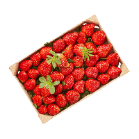 Aldi Nord  Erdbeeren