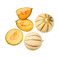 Aldi Nord  Cantaloupe-Melone