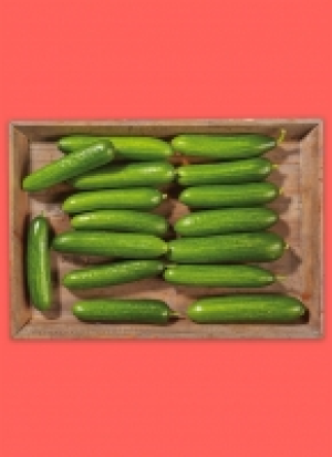 Frän­ki­sche Mi­ni Gur­ken 4.49 €