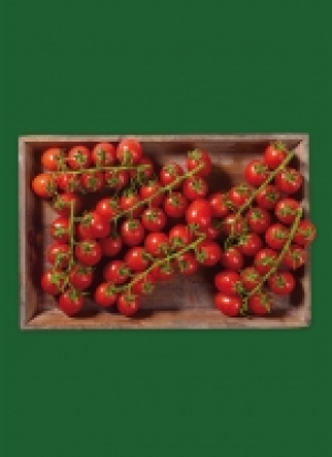 Bran­den­bur­ger Pre­mi­um Kirsch­toma­ten 2.79 €