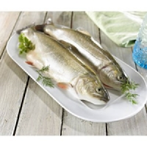 Saibling 8.99 €