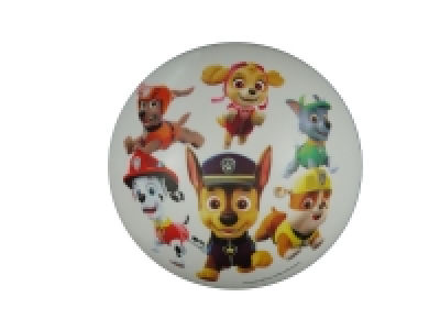 Lidl Niermann Niermann Deckenschale Paw Patrol