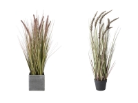 Lidl Pureday Pureday Kunstpflanze »Ziergras/Borstenhirse«, für den Indoor-Einsatz