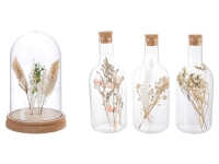 Lidl Pureday Pureday Deko-Objekt Flaschen-Set / Glasglocke, mit Trockenblumen