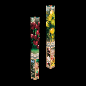 GARDENLINE Obstbaum 3.99 €