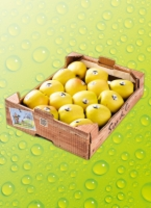 Äp­fel lo­se 1.89 €