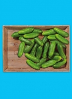 Baye­ri­sche Bau­ern­gur­ken 3.69 €