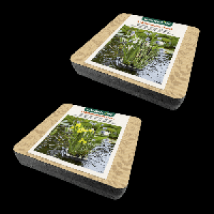GARDENLINE Teichpflanzen-Insel 5.99 €