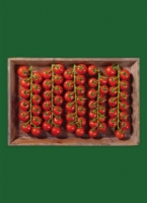 Bran­den­bur­ger Pre­mi­um Kirsch­toma­ten 2.49 €
