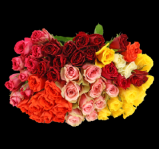 Wunderschöne Fairtrade Rosen 2.99 €