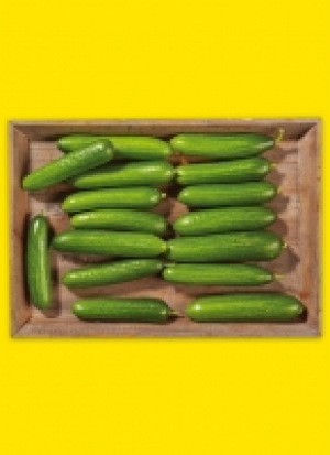 Mi­ni-Gur­ken aus Ba­den-Würt­tem­berg 6.99 €