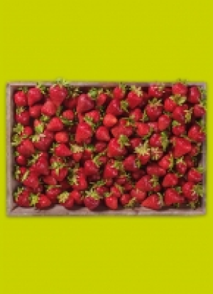 Rhein­län­der Erd­bee­ren 3.33 €