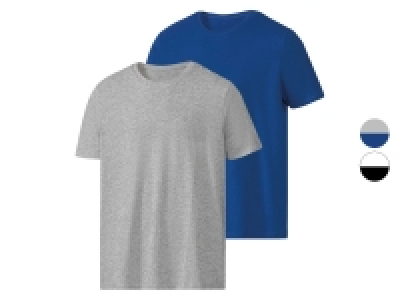 Lidl Parkside® PARKSIDE® Herren T-Shirts mit Rundhalsausschnitt, 2er Set