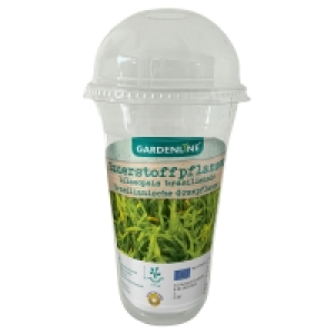 GARDENLINE Schwimm- und Sauerstoffpflanzen 2.29 €