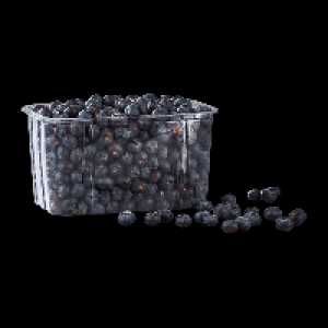 Aldi Nord  Kulturheidelbeeren