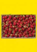 Norma  Erd­bee­ren aus Ba­den-Würt­tem­berg