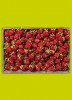 Norma  Rhein­län­der Erd­bee­ren
