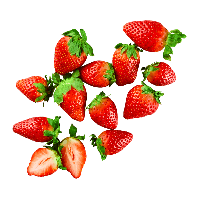 Aldi Nord  Erdbeeren