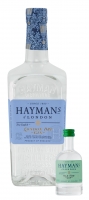 Lidl Haymans Haymans London Dry Gin 47% Vol + 5cl Old Tom Gin 41,4% Vol