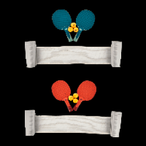 CRANE Tischtennis-Set 12.99 €