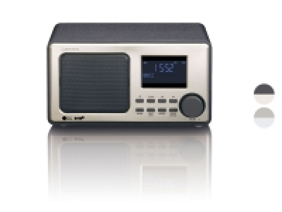 Lenco DAR-010 DAB+ Radio mit PLL-FM-Radio