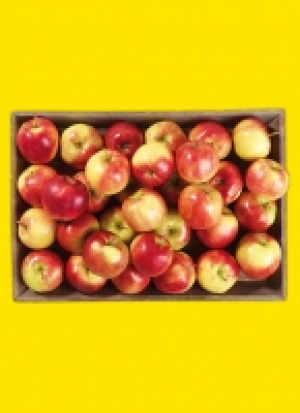 Äp­fel aus Ba­den-Würt­tem­berg 2.49 €