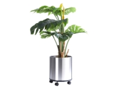 Pureday Kunstpflanze »Split-Philo«, detailgetreu nachgebildet 89.99 €