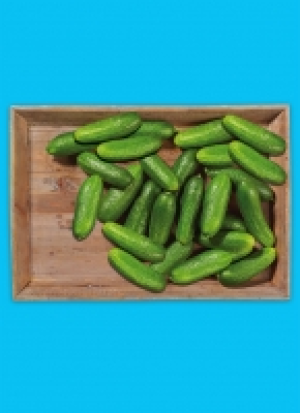 Baye­ri­sche Bau­ern­gur­ken 2.49 €