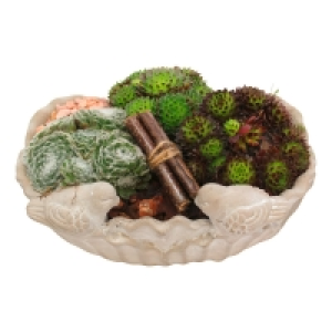 Aldi S&uuml;d  GARDENLINE Sommer-Arrangement