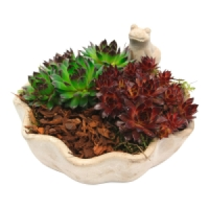 GARDENLINE Sommer-Arrangement 5.99&nbsp;&euro;