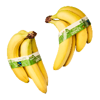 Aldi Nord Gut Bio GUT BIO Bio-Bananen, Fairtrade